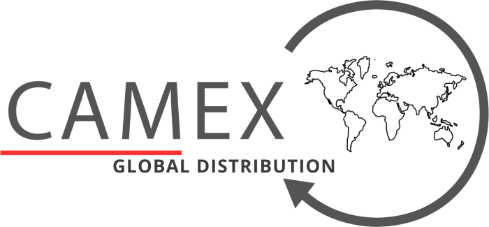 CAMEX LOGO SIN FONDO